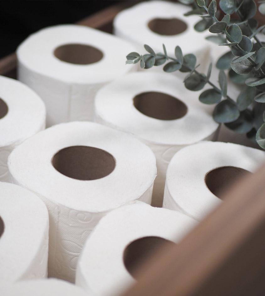 Imagen mostrando varios rollos de papel higiénico